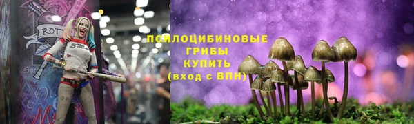 соль курить ск Аркадак