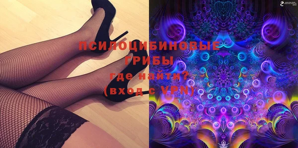 эйфоретик Алзамай