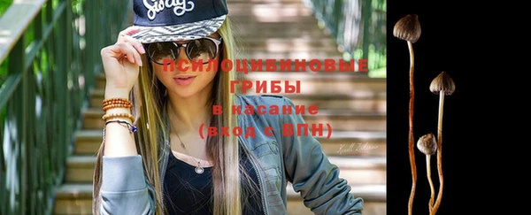 меф Арсеньев
