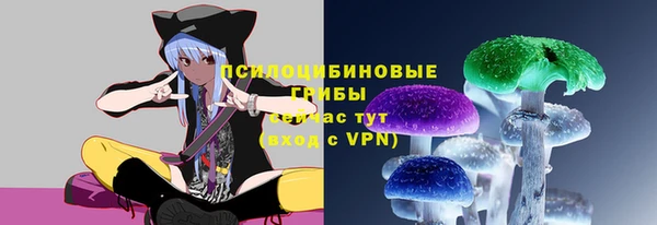 меф Арсеньев