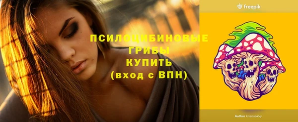 эйфоретик Алзамай