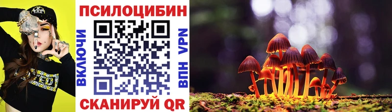 Галлюциногенные грибы прущие грибы  Артёмовский 